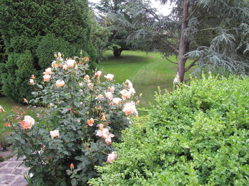 Gite Broceliande Villa Baulon Szoba fotó